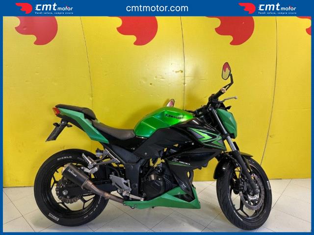 Kawasaki Z 300