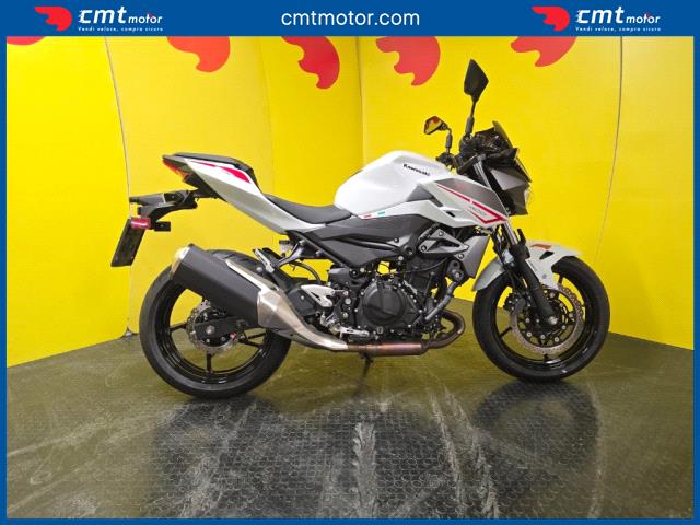 Kawasaki Z 400