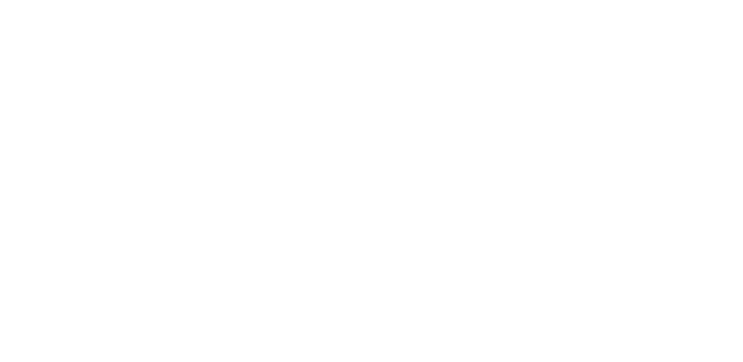 logo BSA - CMTmotor
